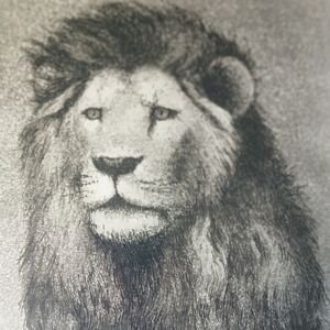 Contemporary Art Print Of Lion By George Engle